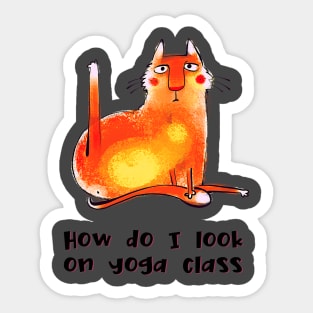 How do I look on yoga class funny yoga and cat drawing Sticker